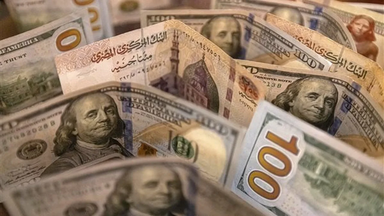 استقرار سعر الدولار قرب 51 جنيهاً في البنوك المصرية خلال تعاملات اليوم